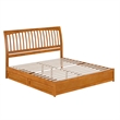 Roslyn King Platform Bed w Panel Footboard & 2 Storage Drawers in Light Toffee