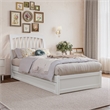 Roslyn Twin XL Wood Platform Bed with Panel Footboard & Twin XL Trundle in White