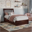 Roslyn Twin Wood Platform Bed with Panel Footboard and Twin Trundle in Walnut