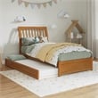 Roslyn Twin Platform Bed with Panel Footboard & Twin Trundle in Light Toffee