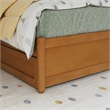 Roslyn Twin Platform Bed with Panel Footboard & Twin Trundle in Light Toffee