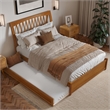 Roslyn Full Platform Bed with Panel Footboard & Twin Trundle in Light Toffee