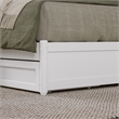 Roslyn Queen Wood Platform Bed with Panel Footboard and Twin XL Trundle in White