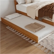 Roslyn Queen Platform Bed with Panel Footboard & TXL Trundle in Light Toffee