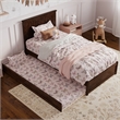 Malta Twin Wood Platform Bed with Panel Footboard and Twin Trundle in Walnut