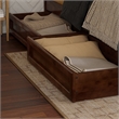 Malta Twin XL Wood Platform Bed with Panel Footboard & Storage Drawers in Walnut