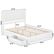 Malta Queen Wood Platform Bed with Panel Footboard and Storage Drawers in White