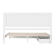 Malta King Wood Platform Bed with Panel Footboard and Storage Drawers in White