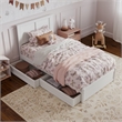 Felicity Twin Wood Platform Bed with Panel Footboard & Storage Drawers in White