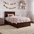 Felicity Twin Wood Platform Bed with Panel Footboard & Storage Drawers in Walnut