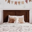 Felicity Twin Wood Platform Bed with Panel Footboard & Storage Drawers in Walnut