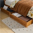 Felicity Twin Wood Platform Bed with Panel Footboard & Drawers in Light Toffee