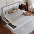Felicity King Wood Platform Bed with Panel Footboard & Storage Drawers in White