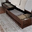Felicity King Wood Platform Bed with Panel Footboard & Storage Drawers in Walnut