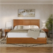 Felicity King Wood Platform Bed with Panel Footboard & Drawers in Light Toffee