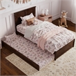 Felicity Twin Wood Platform Bed with Panel Footboard and Twin Trundle in Walnut