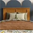 Felicity Twin Platform Bed with Panel Footboard & Twin Trundle in Light Toffee