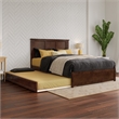 Felicity Full Wood Platform Bed with Panel Footboard and Twin Trundle in Walnut