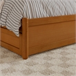 Felicity Full Platform Bed with Panel Footboard & Twin Trundle in Light Toffee
