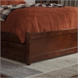 Wesley Twin XL Wood Platform Bed with Panel Footboard & Drawers in Walnut