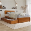 Wesley Twin XL Wood Platform Bed with Panel Footboard & Drawers in Light Toffee