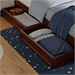 Wesley Twin Wood Platform Bed with Panel Footboard and Storage Drawers in Walnut