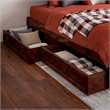 Wesley Full Wood Platform Bed with Panel Footboard and Storage Drawers in Walnut