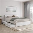 Wesley Queen Wood Platform Bed with Panel Footboard and Storage Drawers in White
