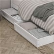 Wesley Queen Wood Platform Bed with Panel Footboard and Storage Drawers in White
