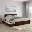 Wesley Queen Wood Platform Bed with Panel Footboard & Storage Drawers in Walnut