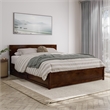 Wesley Queen Wood Platform Bed with Panel Footboard & Storage Drawers in Walnut