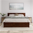 Wesley Queen Wood Platform Bed with Panel Footboard & Storage Drawers in Walnut