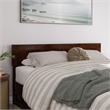 Wesley Queen Wood Platform Bed with Panel Footboard & Storage Drawers in Walnut