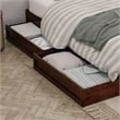 Wesley King Wood Platform Bed with Panel Footboard and Storage Drawers in Walnut