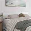 Wesley Queen Wood Platform Bed with Panel Footboard and Twin XL Trundle in White