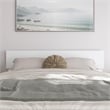Wesley Queen Wood Platform Bed with Panel Footboard and Twin XL Trundle in White