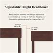 Wesley Queen Wood Platform Bed with Panel Footboard & Twin XL Trundle in Walnut