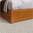 Wesley Queen Platform Bed with Panel Footboard & TXL Trundle in Light Toffee