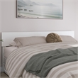 Wesley King Wood Platform Bed with Panel Footboard and Twin XL Trundle in White