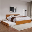 Wesley King Wood Platform Bed with Panel Footboard & TXL Trundle in Light Toffee