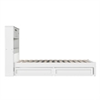 Hadley Twin Wood Platform Bed with Panel Footboard and Storage Drawers in White