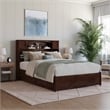 Hadley Full Wood Platform Bed with Panel Footboard and Storage Drawers in Walnut
