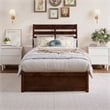 Emelie Twin XL Wood Platform Bed with Panel Footboard & Drawers in Walnut