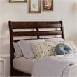 Emelie Twin XL Wood Platform Bed with Panel Footboard & Drawers in Walnut