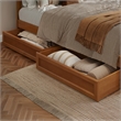 Emelie Twin XL Wood Platform Bed with Panel Footboard & Drawers in Light Toffee