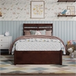 Emelie Twin Wood Platform Bed with Panel Footboard and Storage Drawers in Walnut
