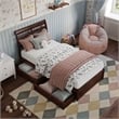 Emelie Twin Wood Platform Bed with Panel Footboard and Storage Drawers in Walnut