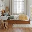 Emelie Twin Wood Platform Bed with Panel Footboard & Drawers in Light Toffee