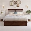 Emelie Full Wood Platform Bed with Panel Footboard and Storage Drawers in Walnut