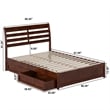 Emelie Full Wood Platform Bed with Panel Footboard and Storage Drawers in Walnut